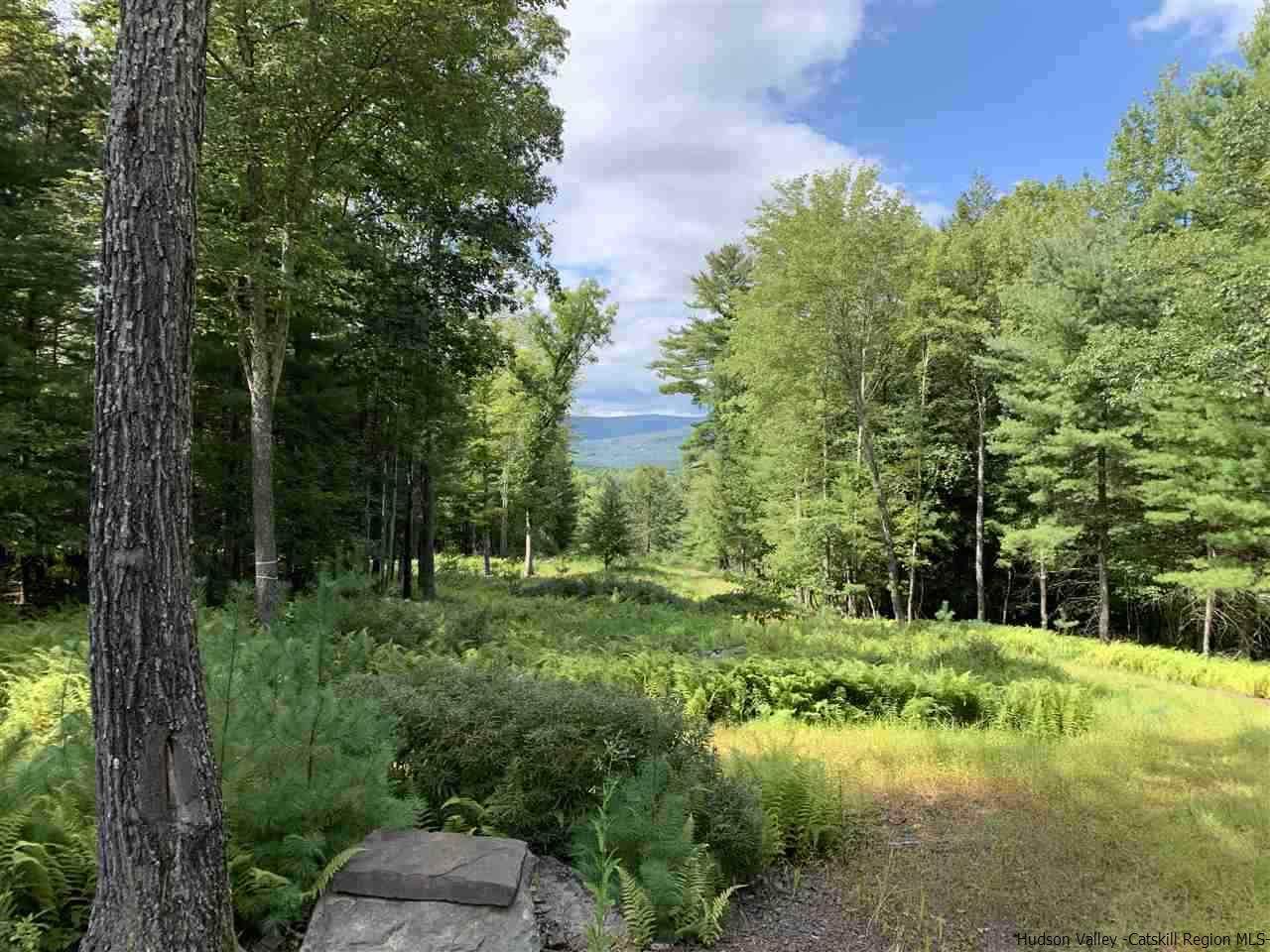 269 Lower Sahler Mill Road - Photo 1