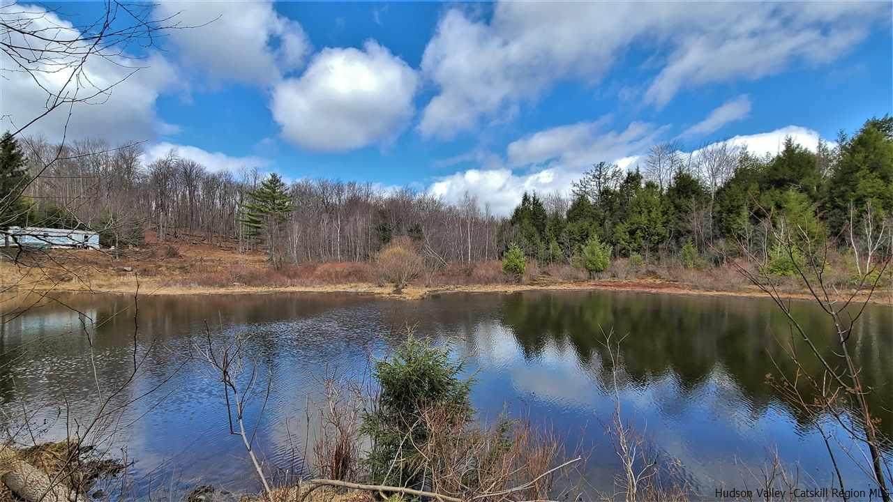 537 Tanzman Road - Photo 1