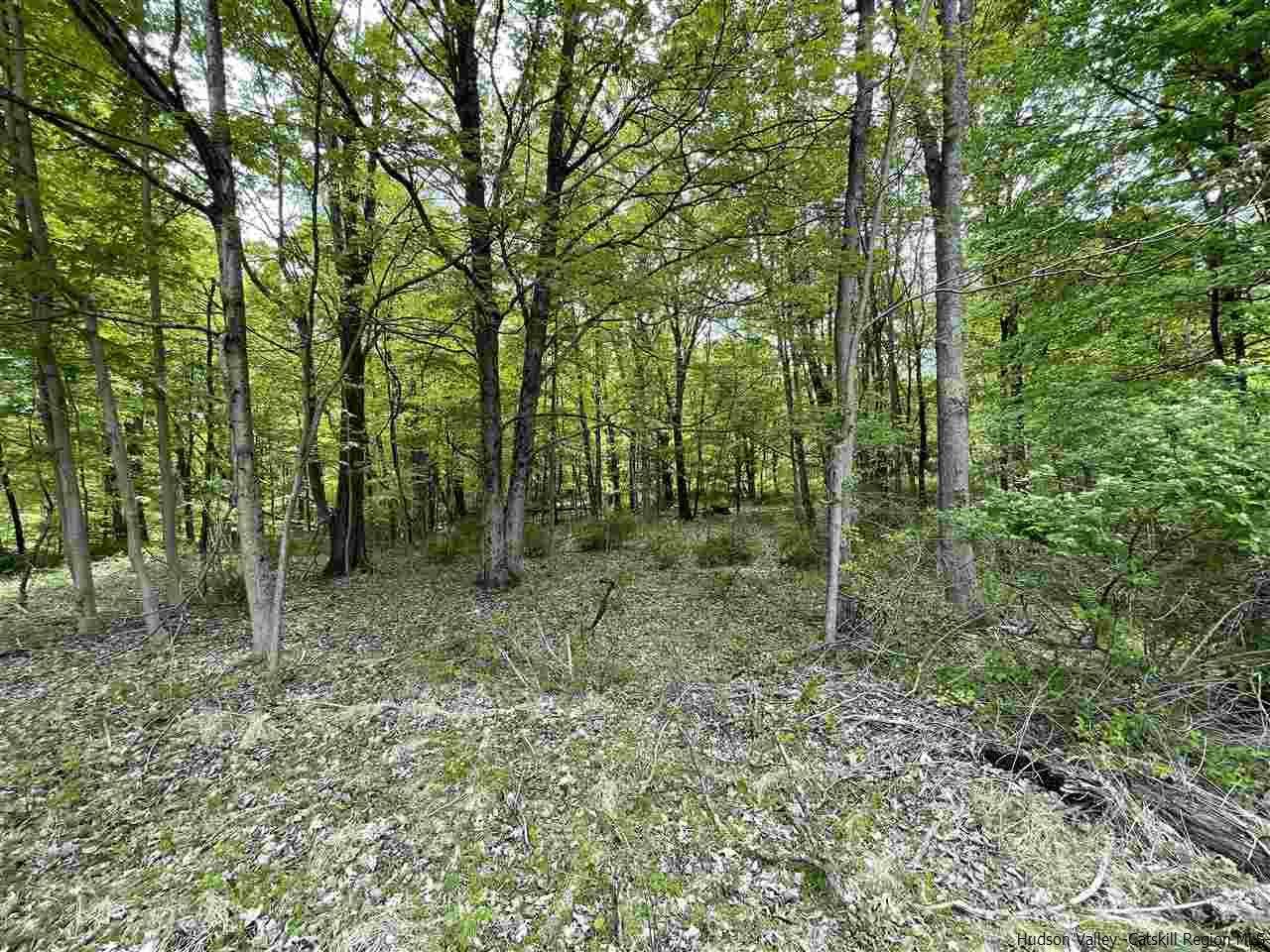 224 Union Center Road - Photo 1