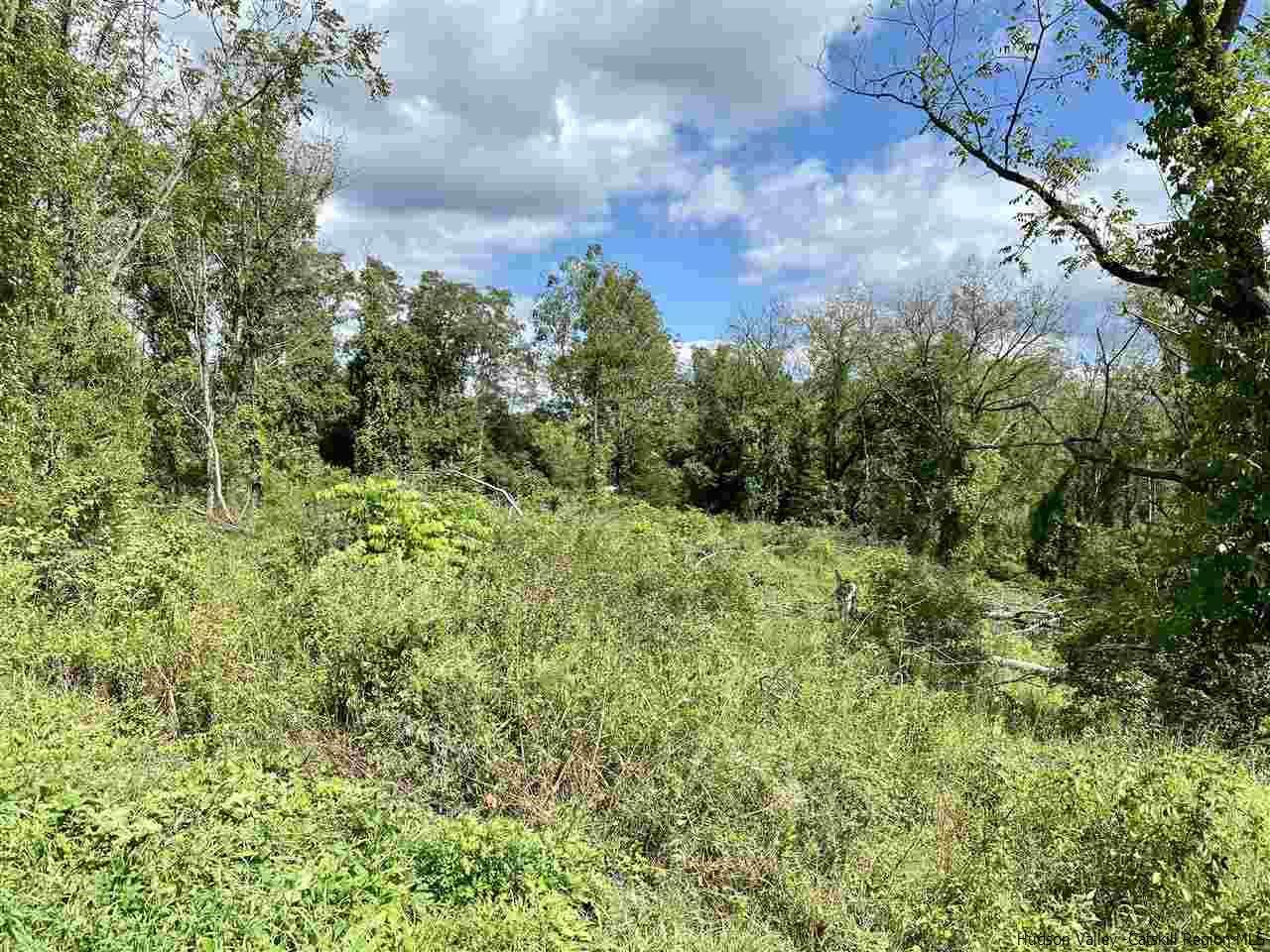 80 Fishkill Hook Road - Photo 1