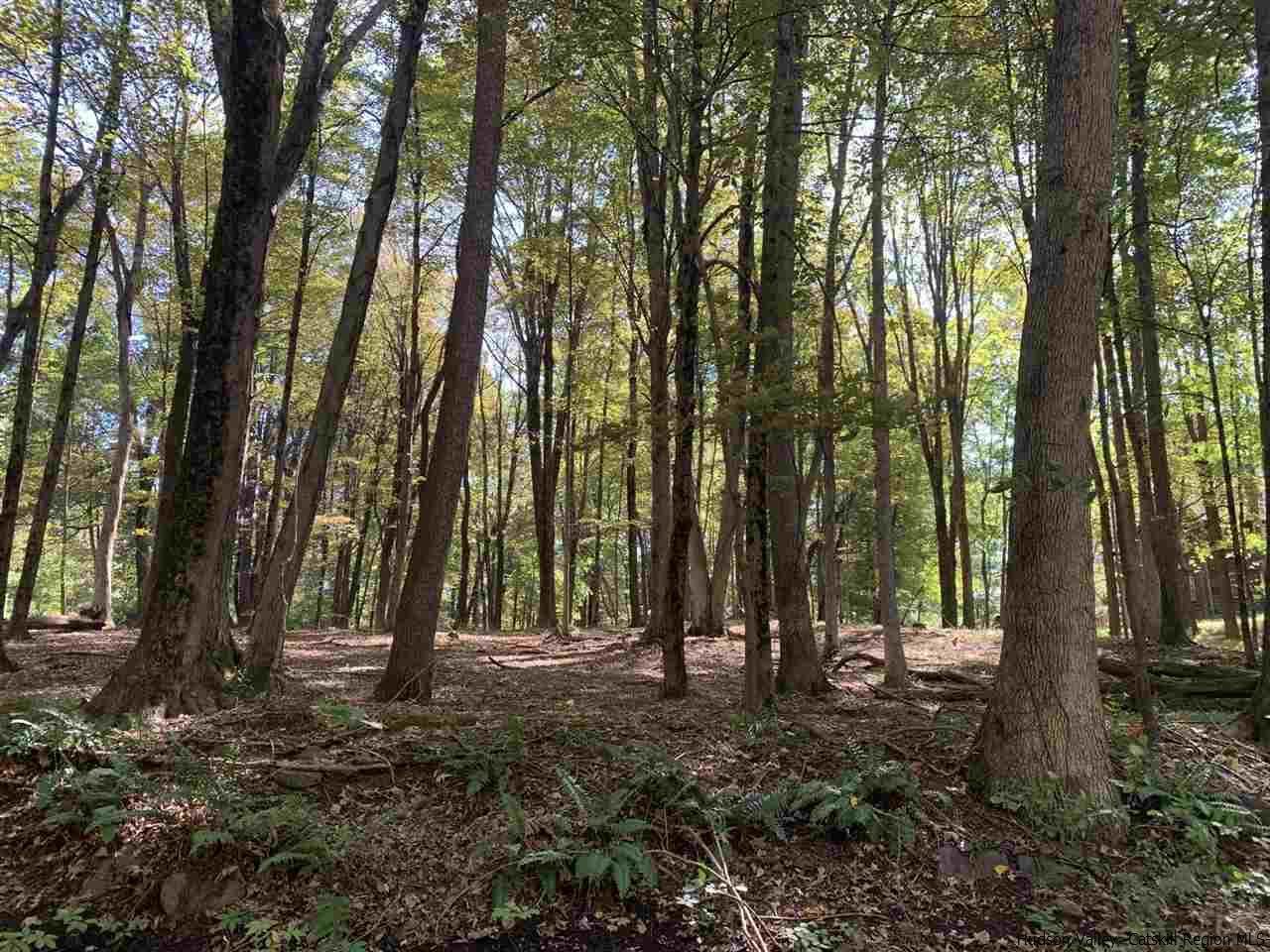 516 Swartekill Road - Photo 1