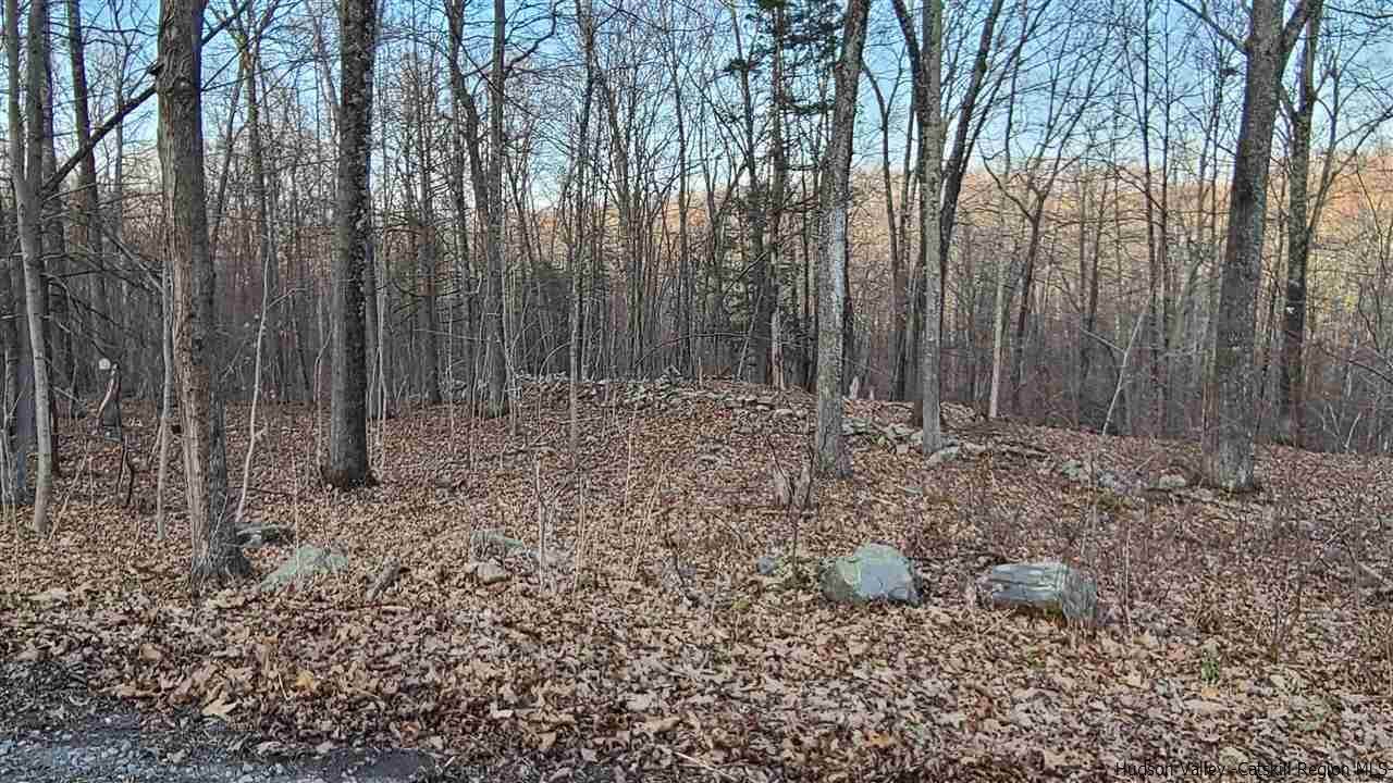 TBD Hawleys Corners Road - Photo 1