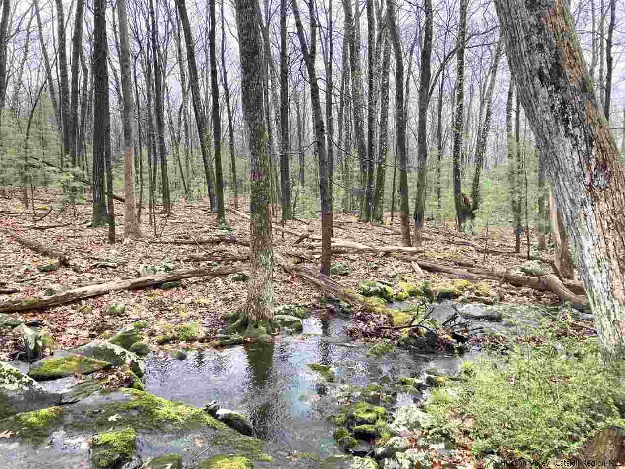 TBD Pine Kill Road - Photo 1