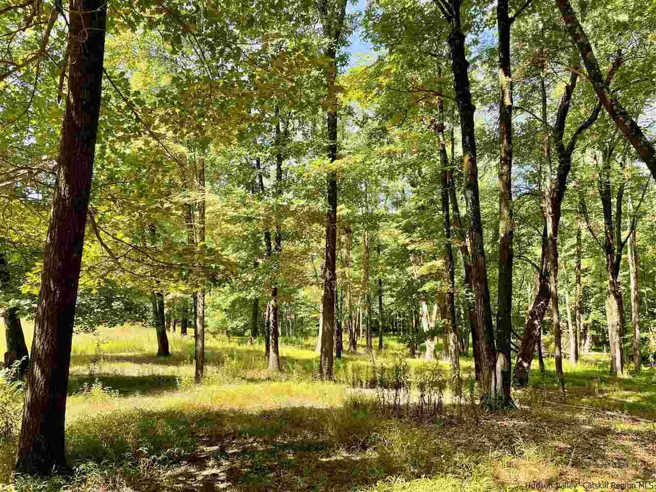 TBD Lower Whitfield - Photo 1