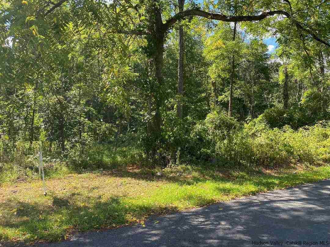 TBD Elting Road - Photo 1