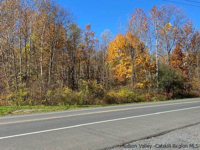 TBD Rt. 9W - Photo 1