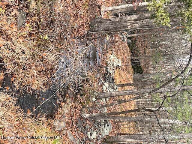 00 Schoharie Turnpike - Photo 1