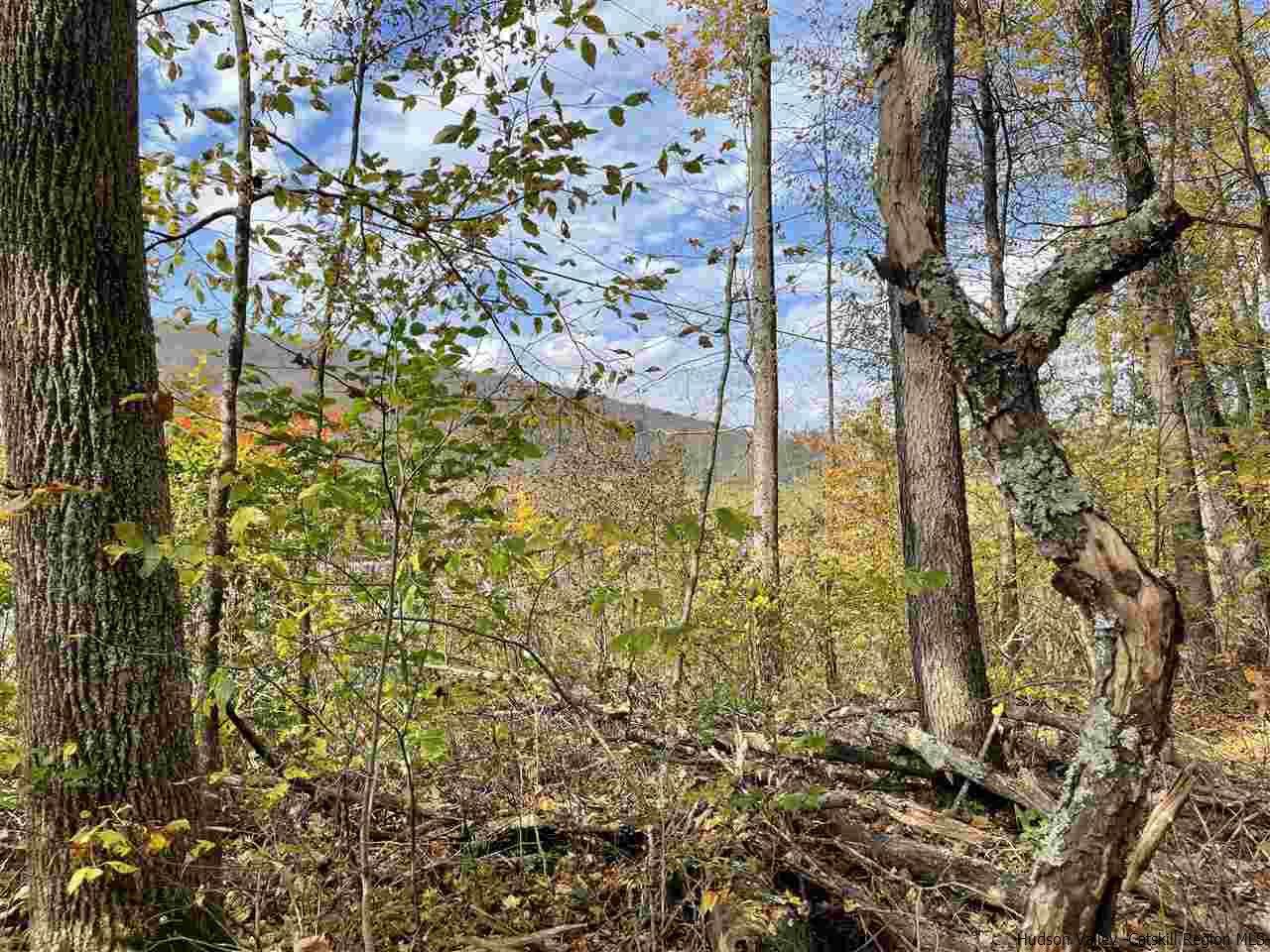County Hwy 6 - Photo 1
