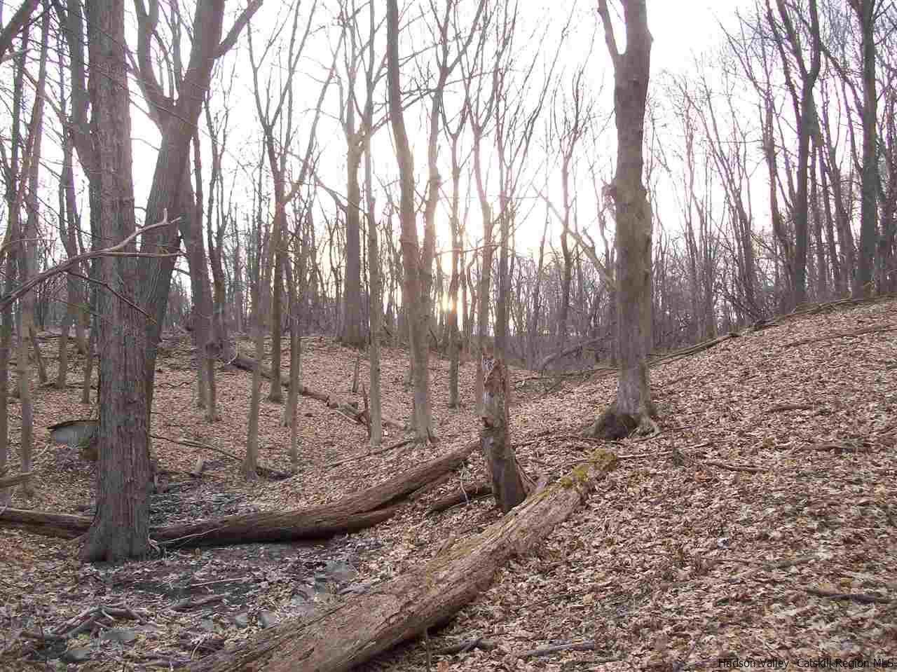 tbd Route 9 W Route 9 W - Photo 1