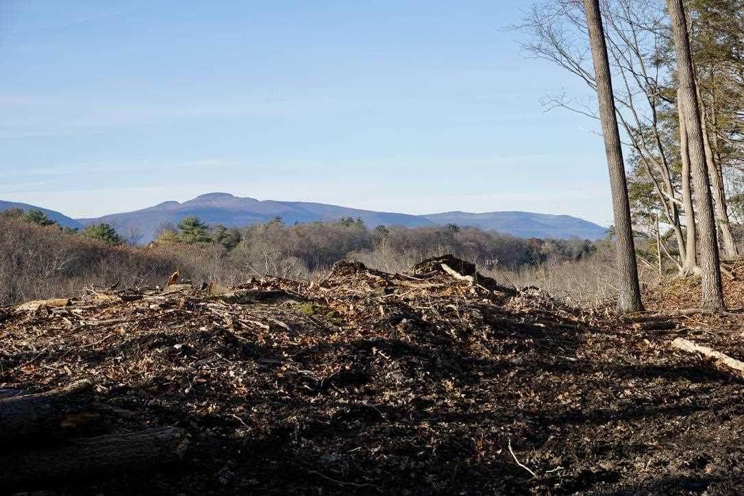 3 Arrowhead Ridge Road - Photo 1