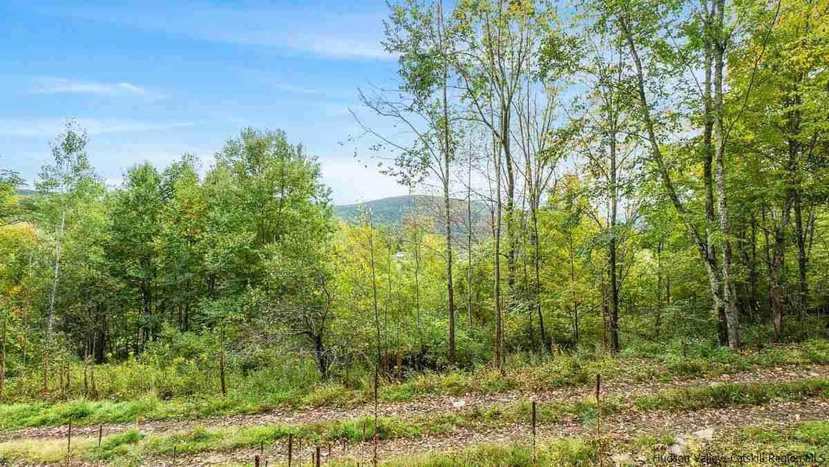 TBD Meadowbrook Dr - Photo 1