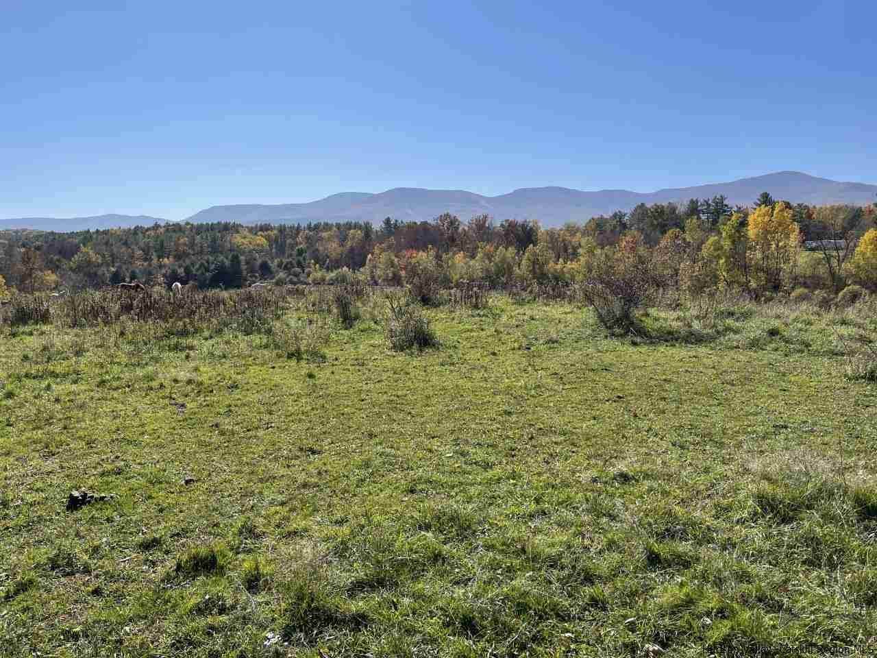 TBD Freehold Ford Rd - Photo 1