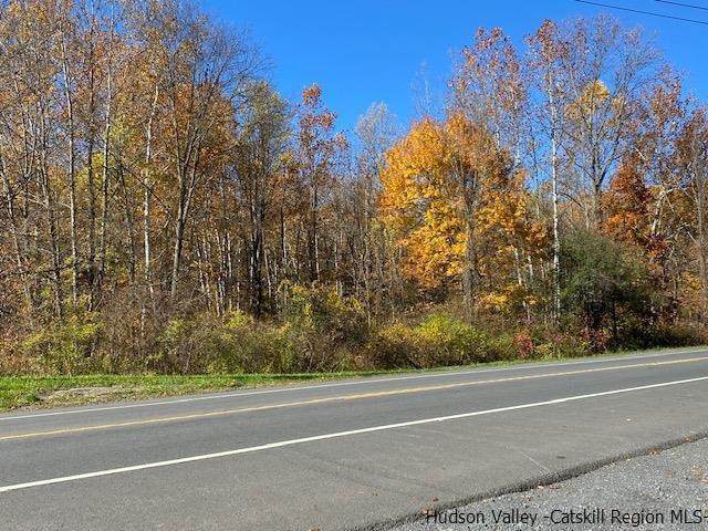 Tbd Rt. 9W - Photo 1