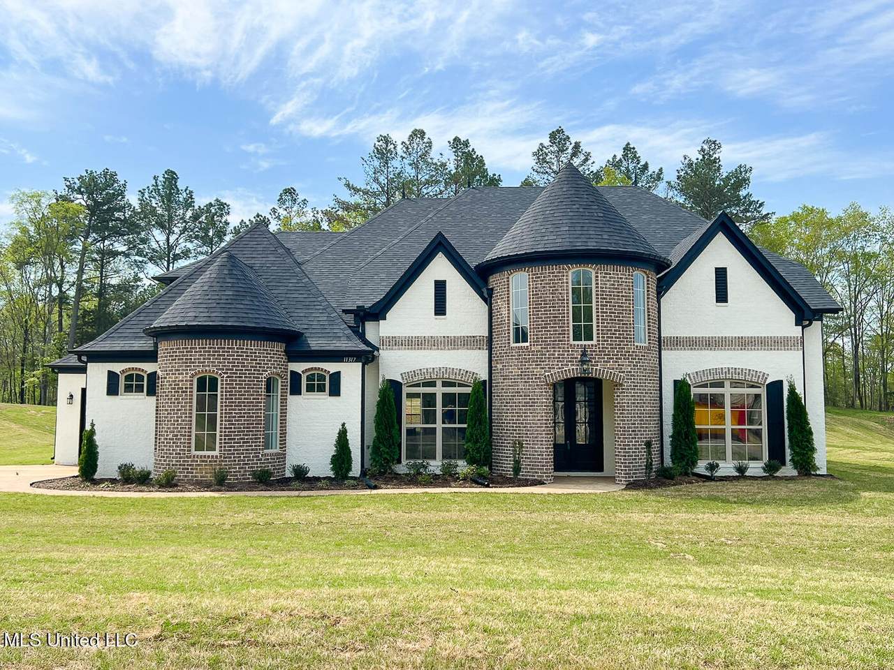 11317 Vicki's Lane - Photo 1