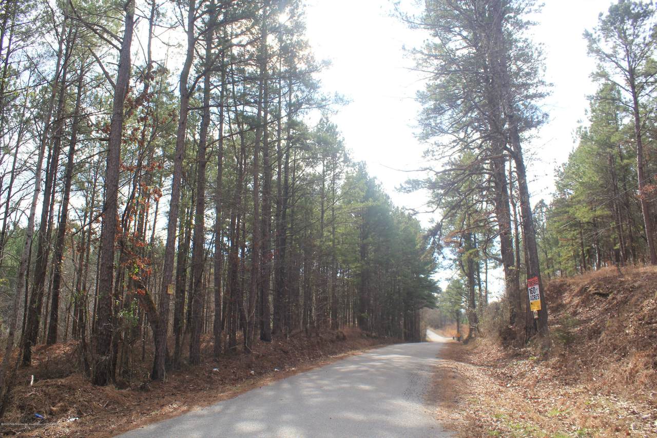 0 Co Rd 462 - Photo 1