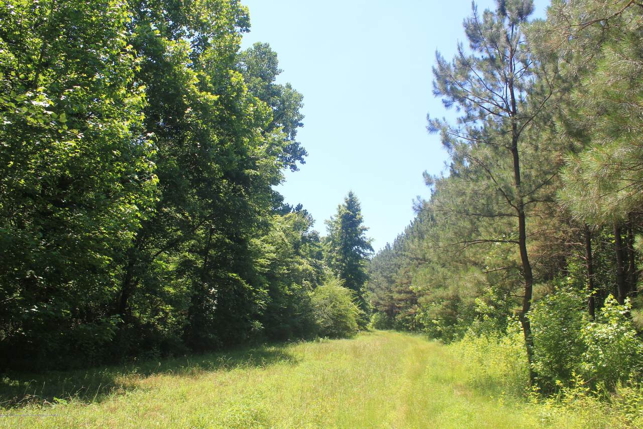 395 Red Banks Road - Photo 1