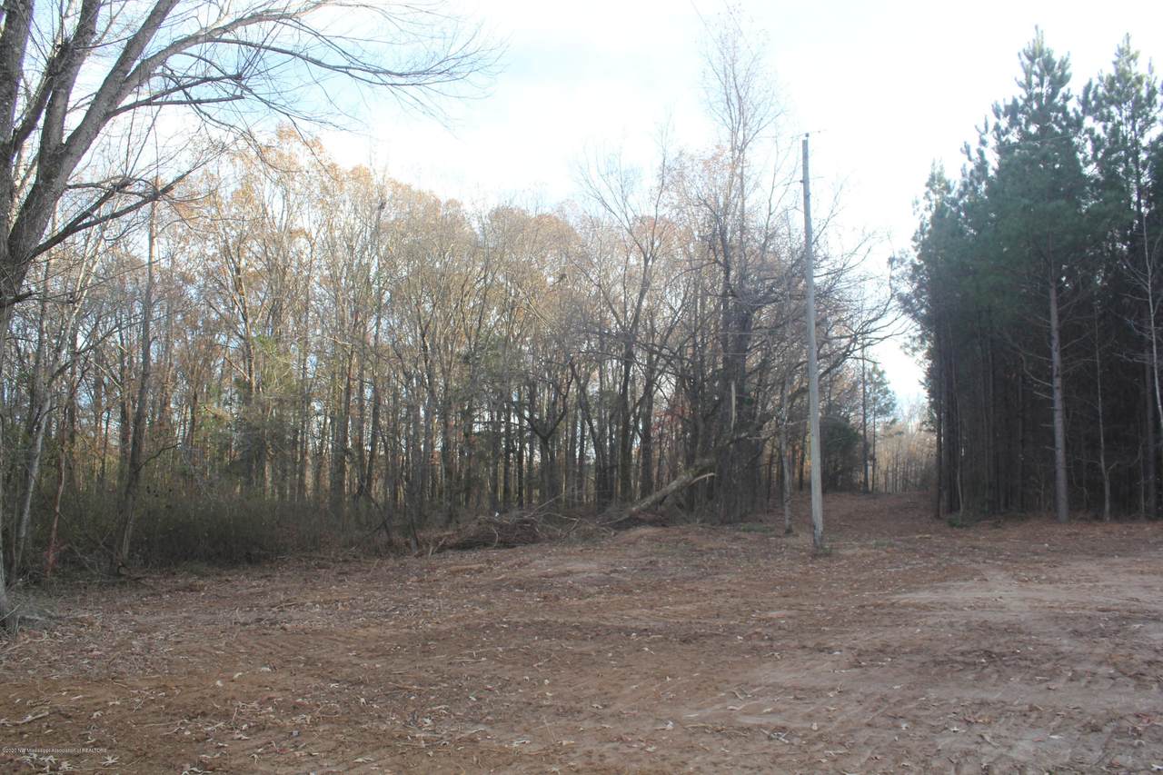 255 Hogan Road - Photo 1
