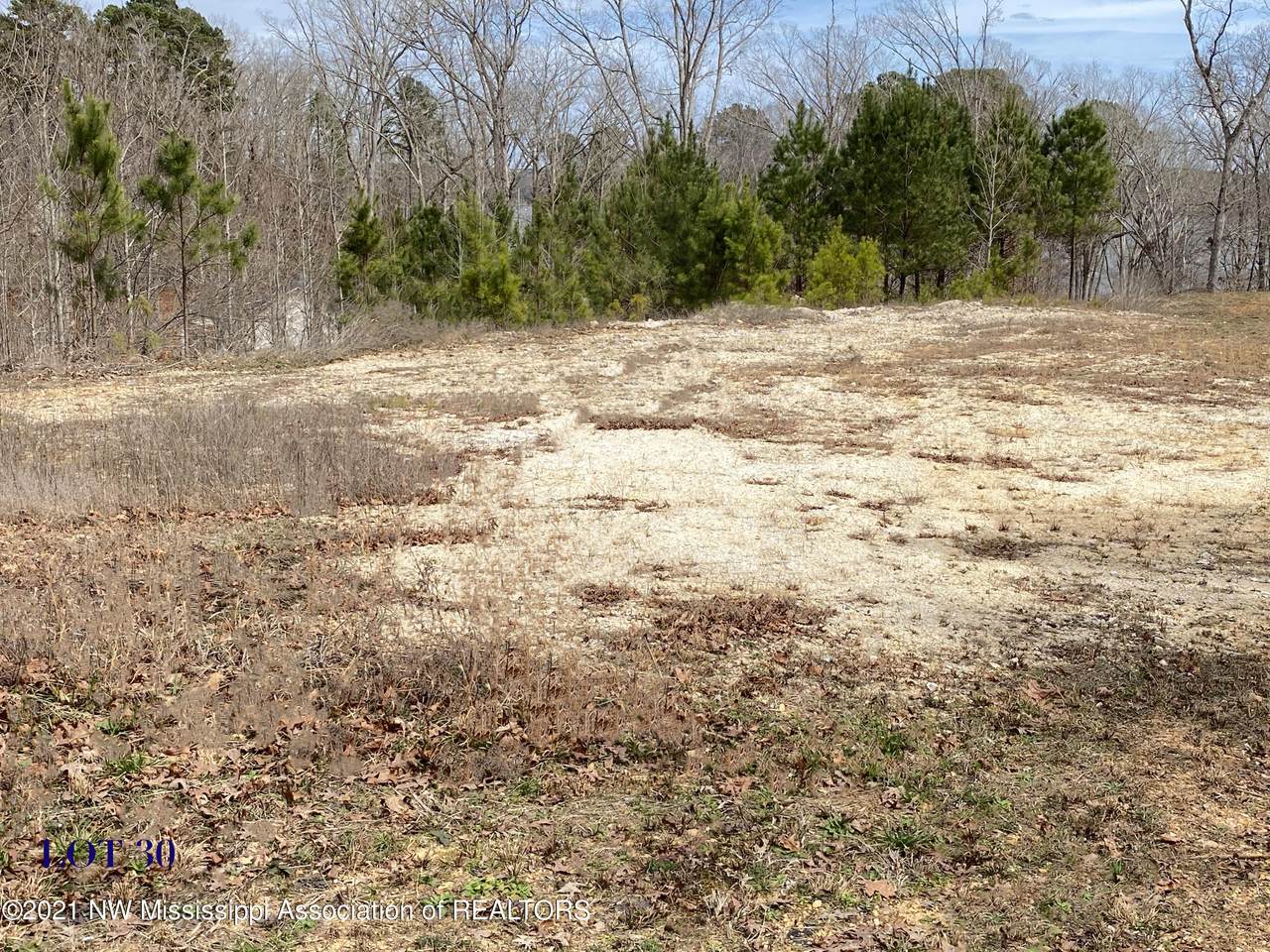 30 Joye Ln - Photo 1