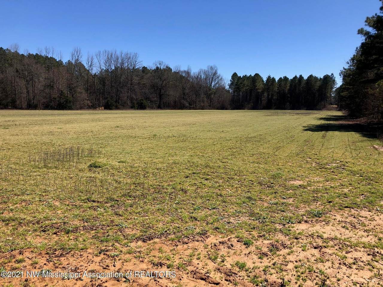 2 Co Rd 320 - Photo 1