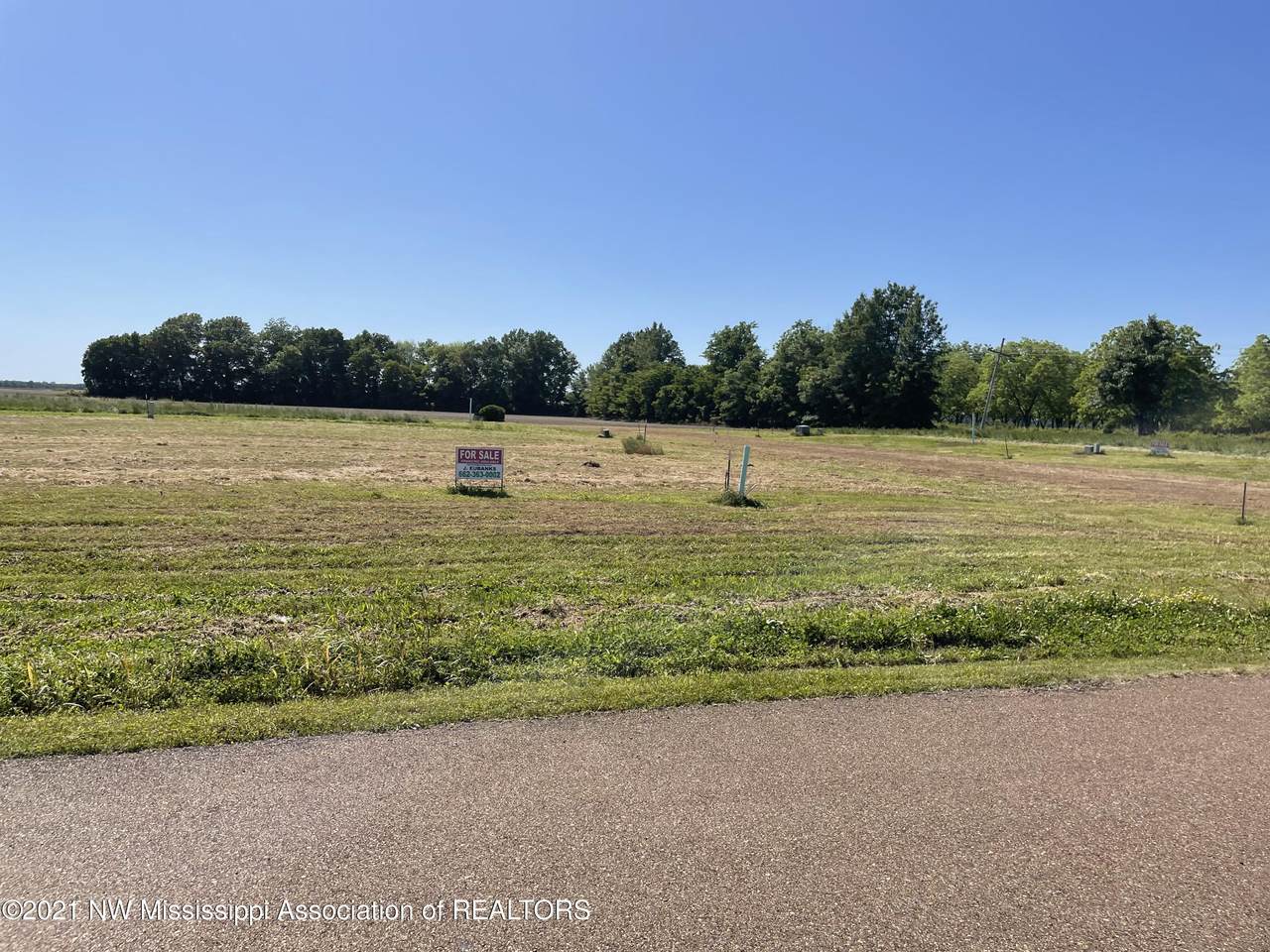 1665 Poteete Lane - Photo 1