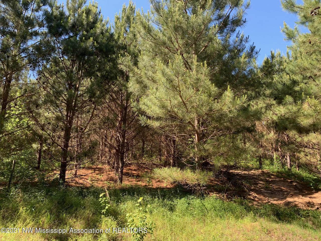Tract 2 Steward Rd - Photo 1