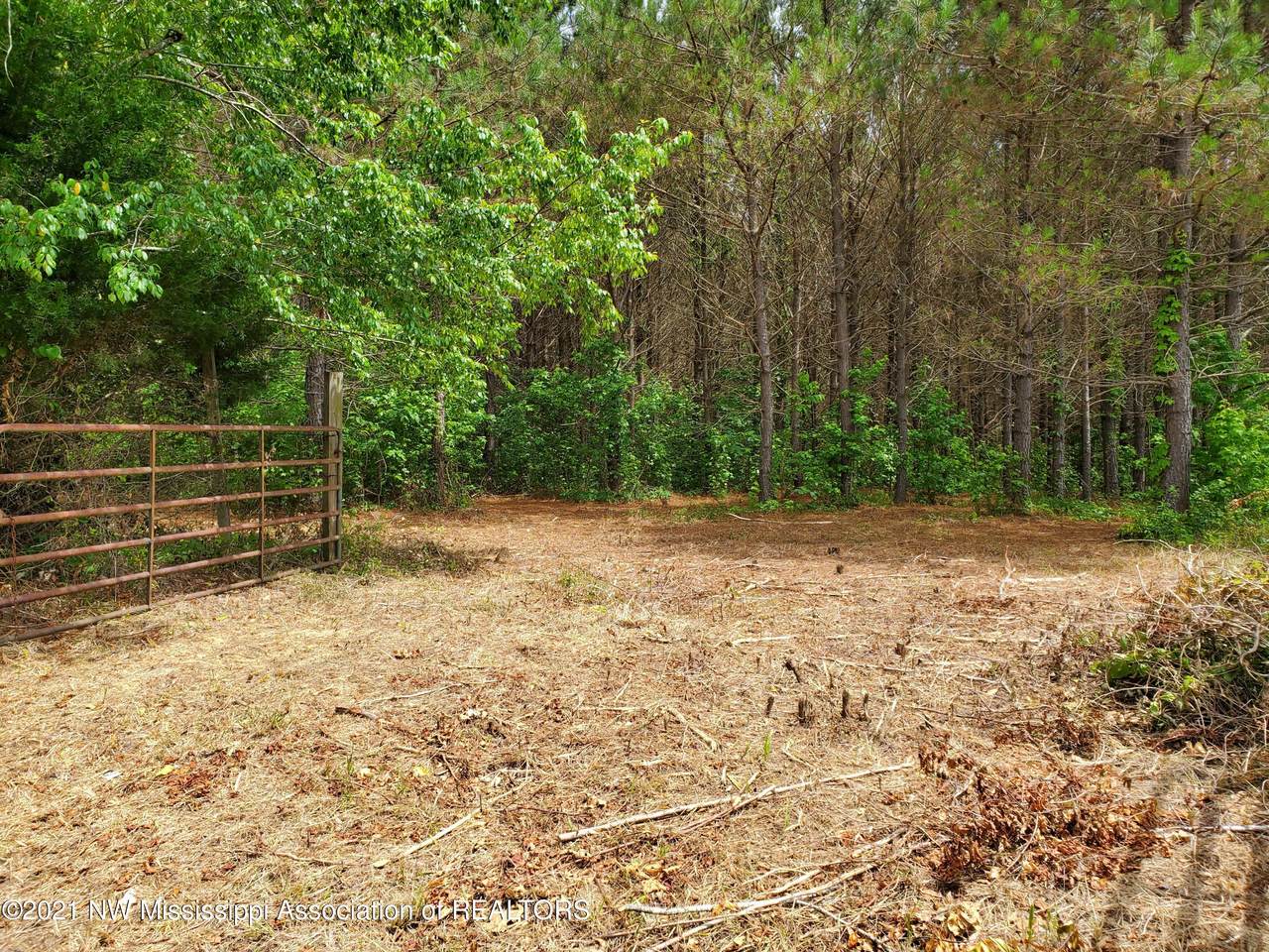 0 Graves Rd - Photo 1