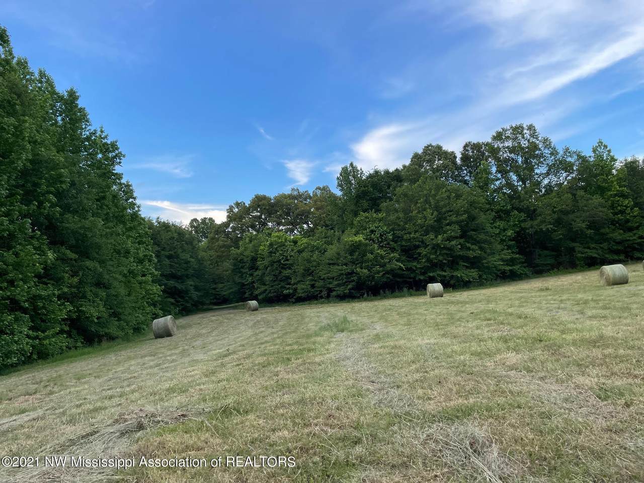 30 Wildcat Bottom Road - Photo 1