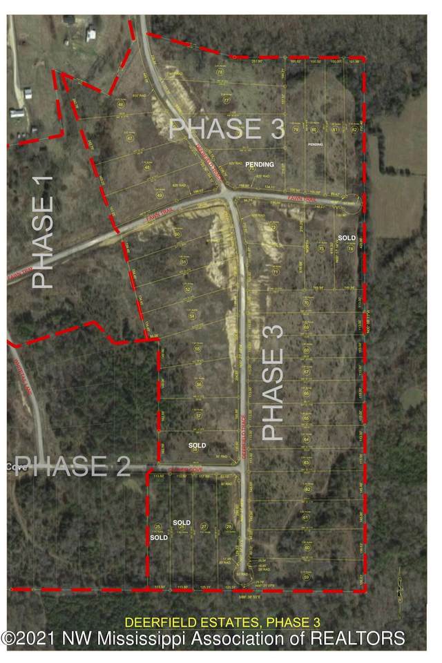 46 Deerfield Trace - Photo 1