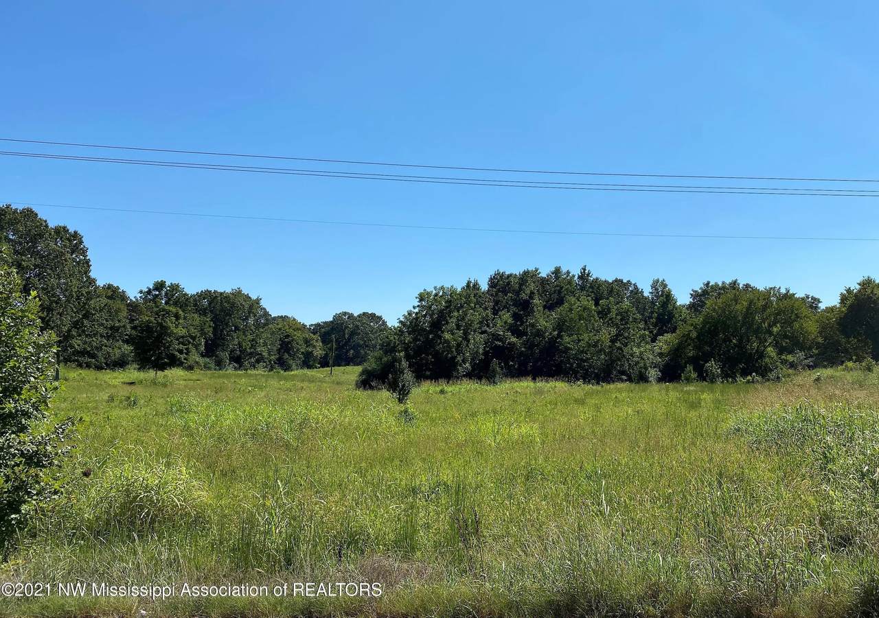 14 Highway 306 - Photo 1