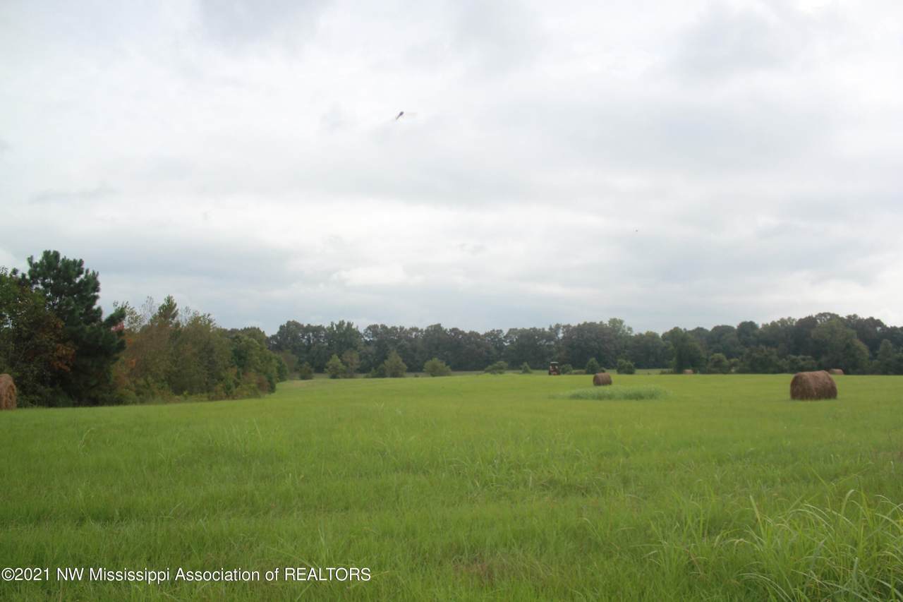 3 Highway 301 - Photo 1
