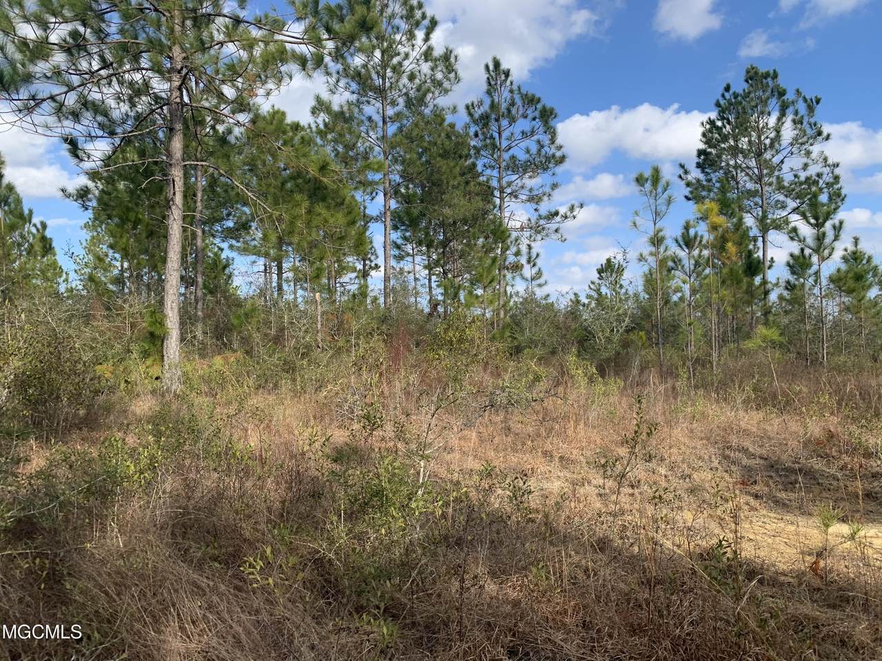 0 Fenton Dedeaux Road - Photo 1