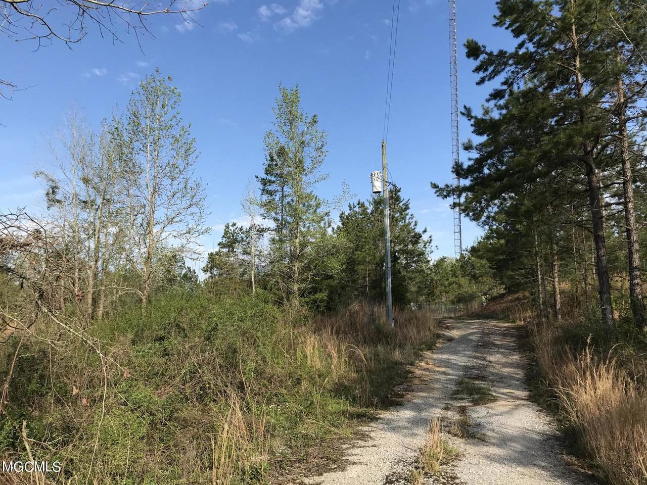 51 Dunaway - Photo 1