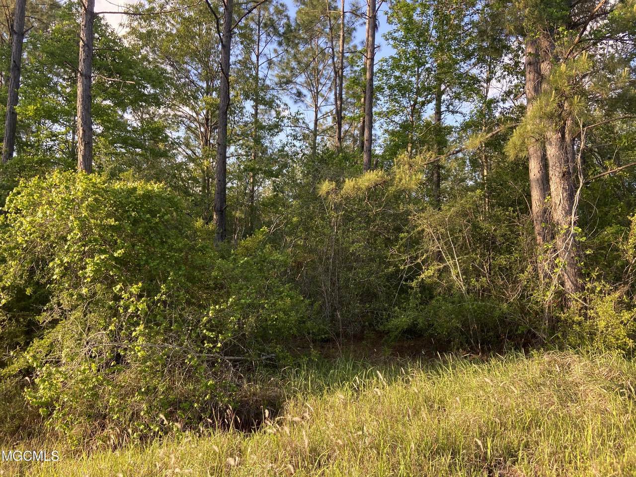 Waltman Road - Photo 1
