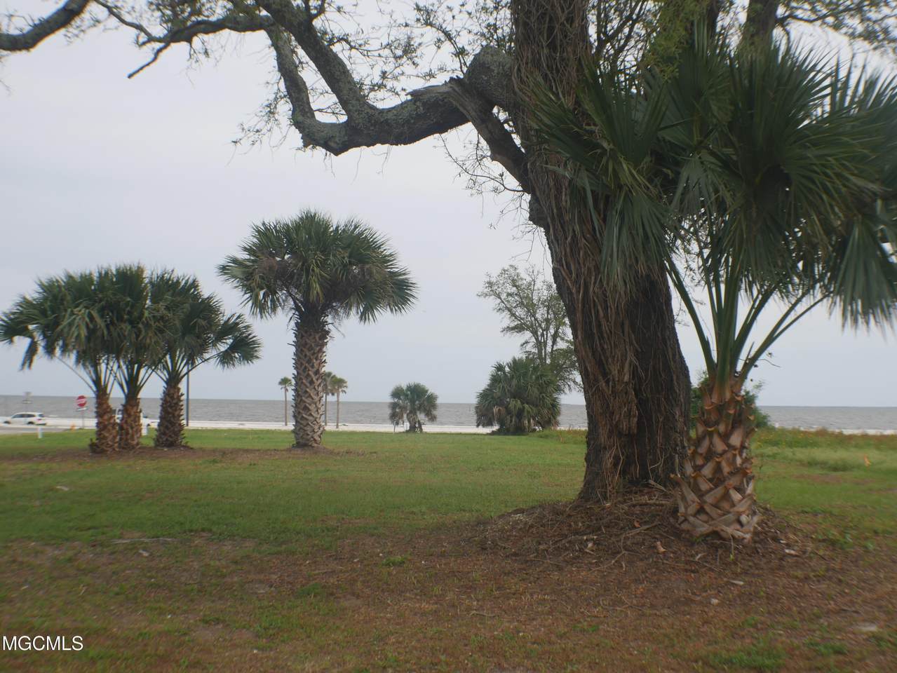 00 Beach Boulevard - Photo 1