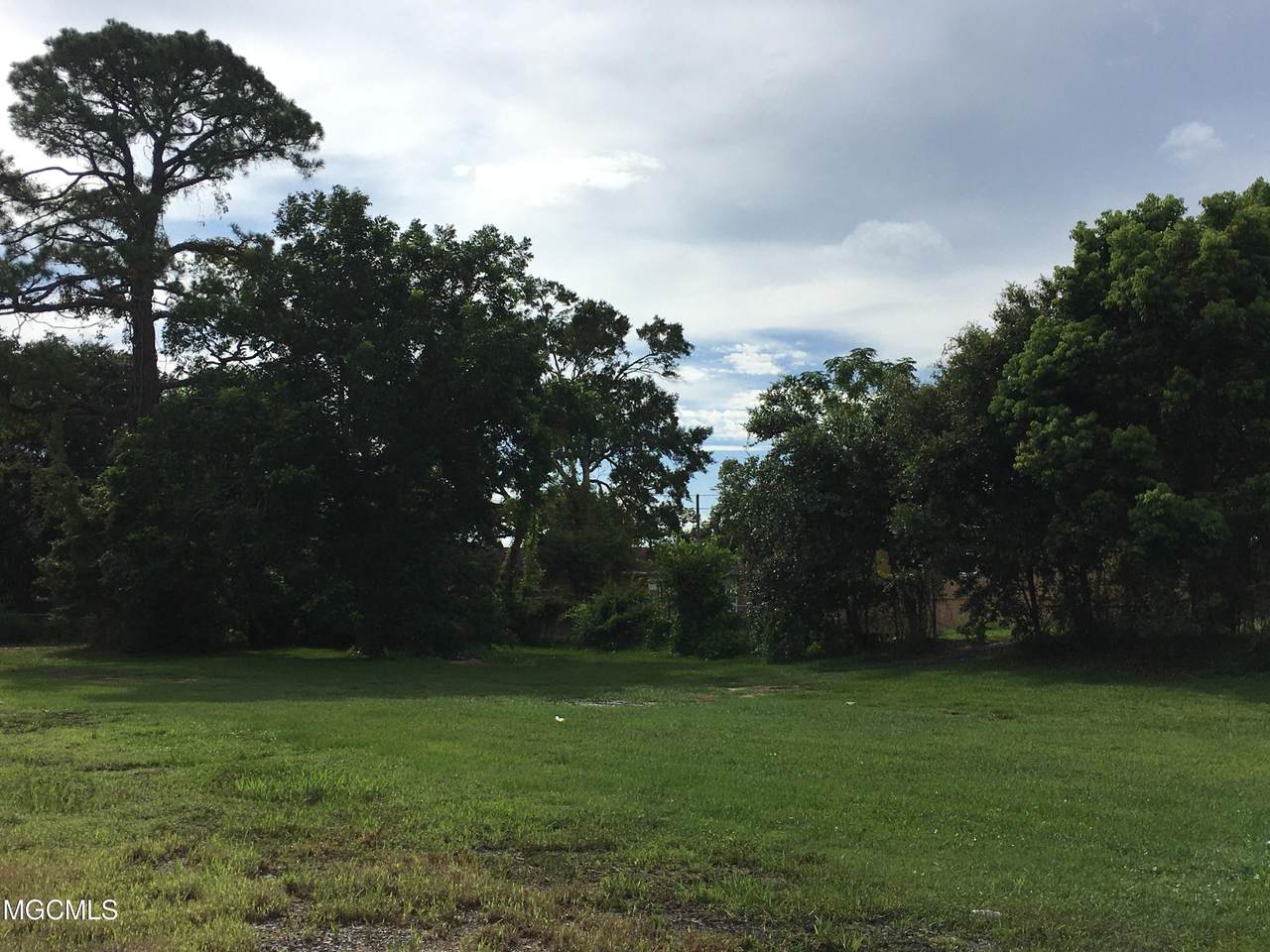 231 Dorries Street - Photo 1