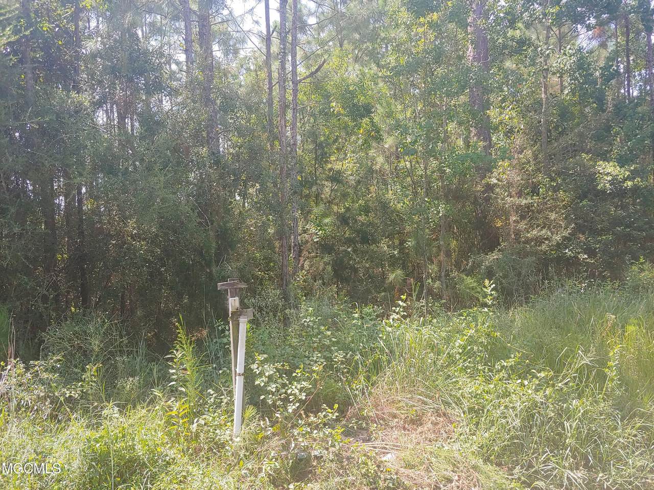 6187 Quitman Street - Photo 1