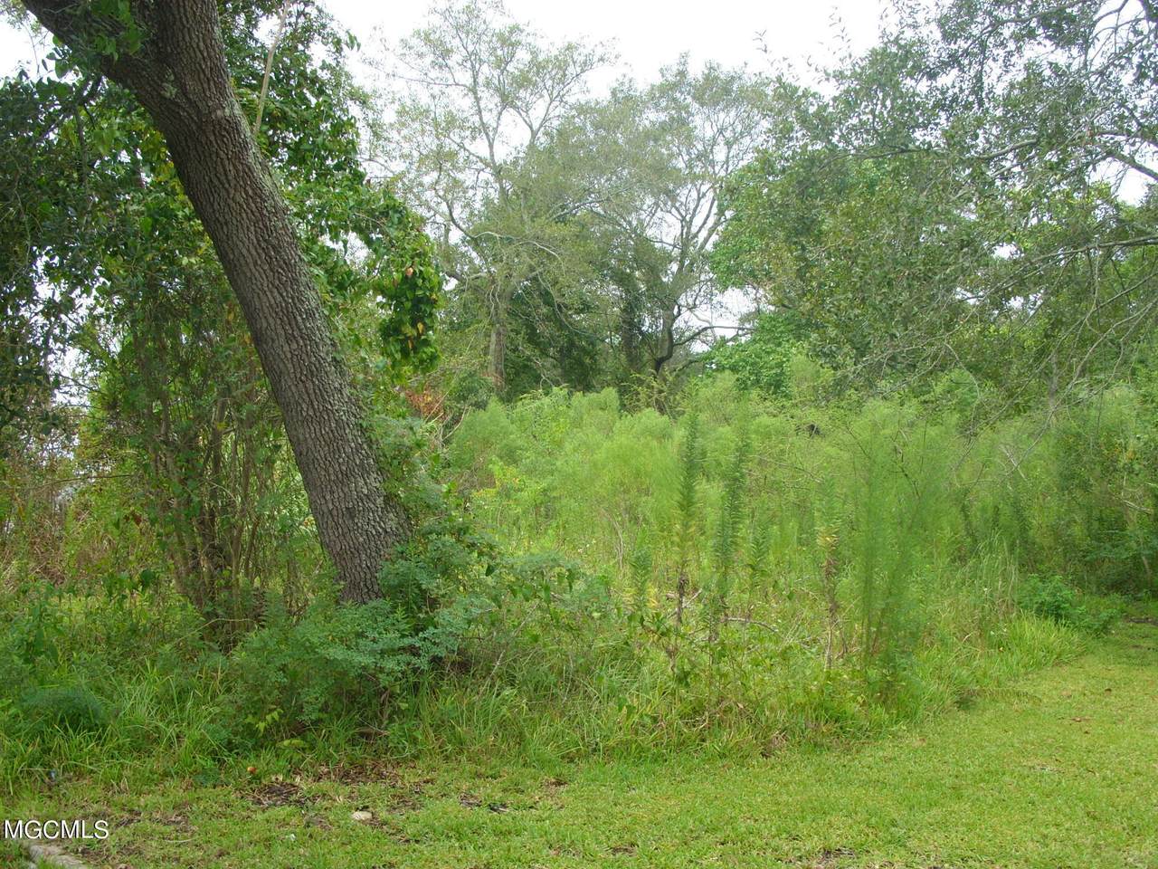 4307 Dunham Street - Photo 1