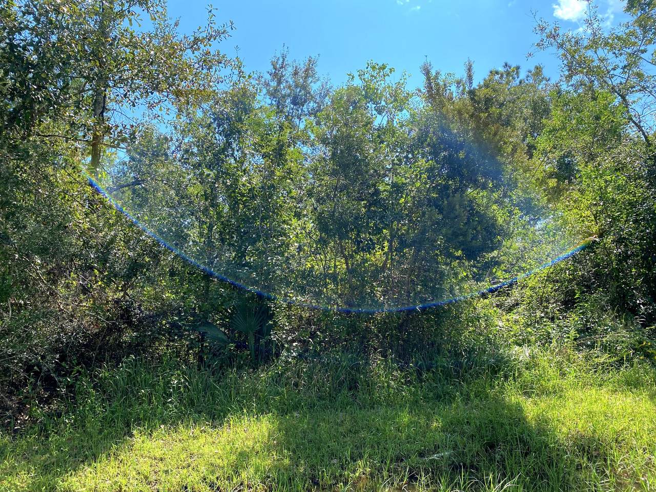 Lot 27 Mitteer Drive - Photo 1
