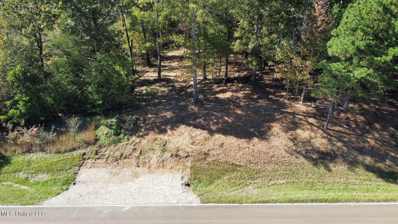 Barton Desoto Road - Photo 1