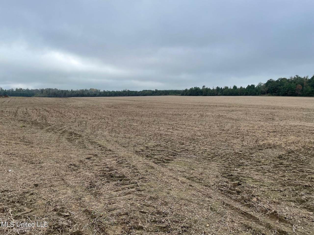 1570 Highway 8 East - Photo 1
