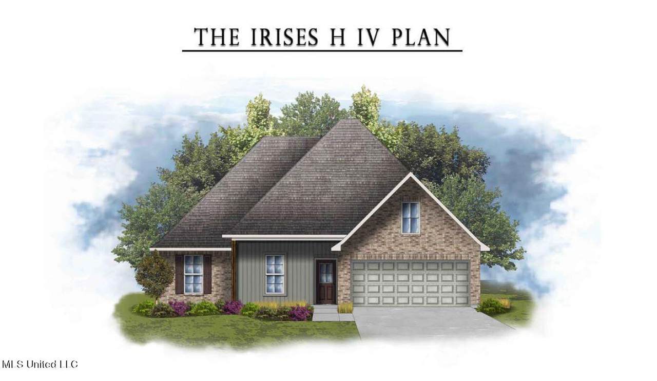 14263 Viola Way - Photo 1