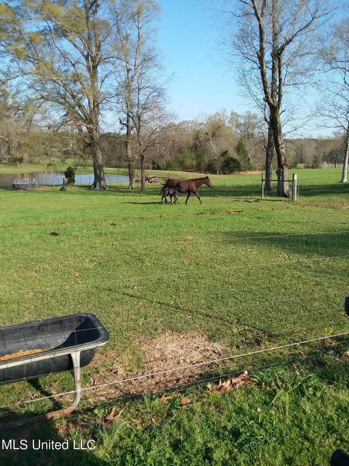 1778 D. Newman Road - Photo 1