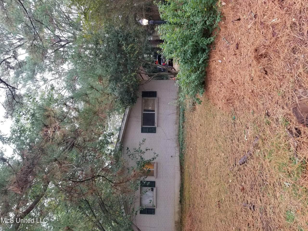 1624 Devine Street - Photo 1