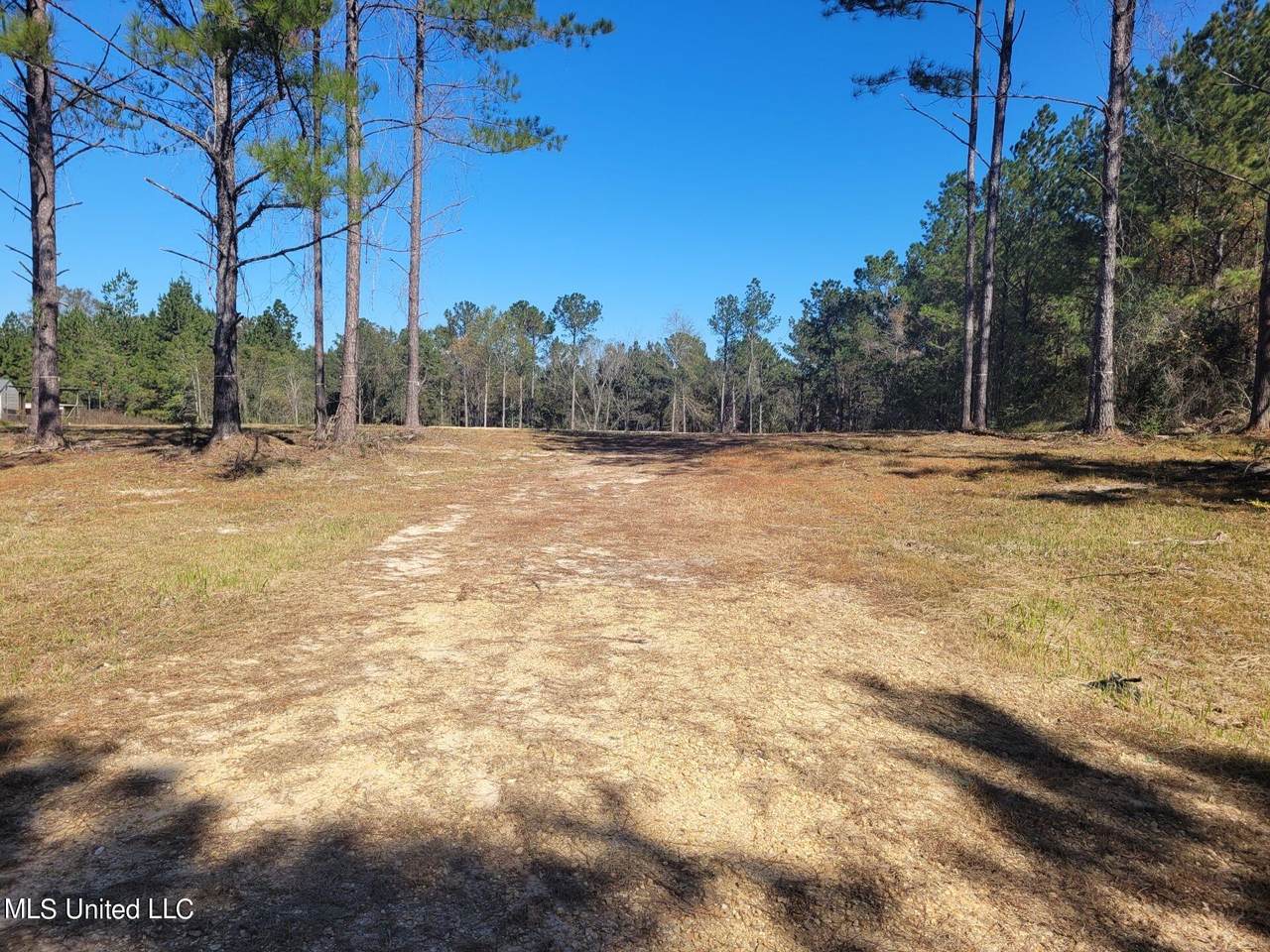 46 Presley Drive - Photo 1
