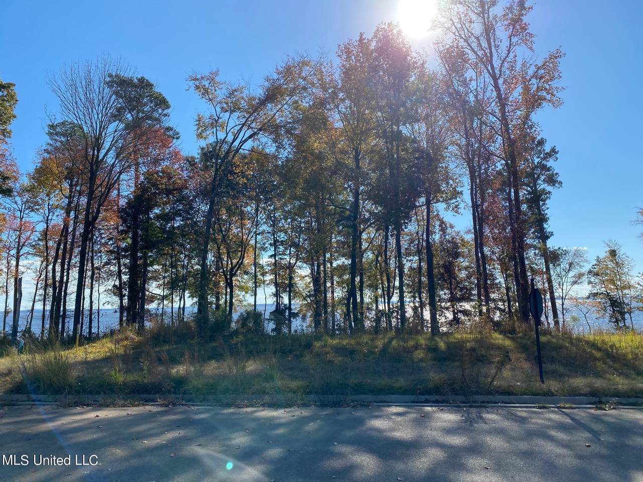 N Natchez Drive - Photo 1