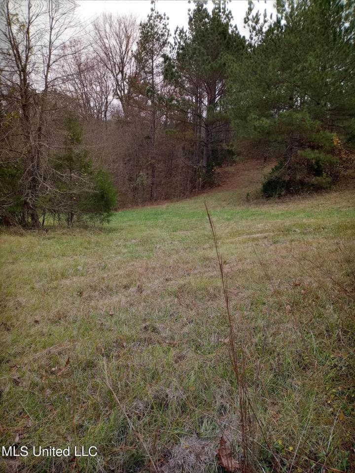 0 Tate Marshall Road - Photo 1