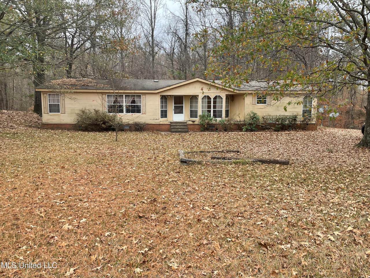 3409 Carson Road Road - Photo 1