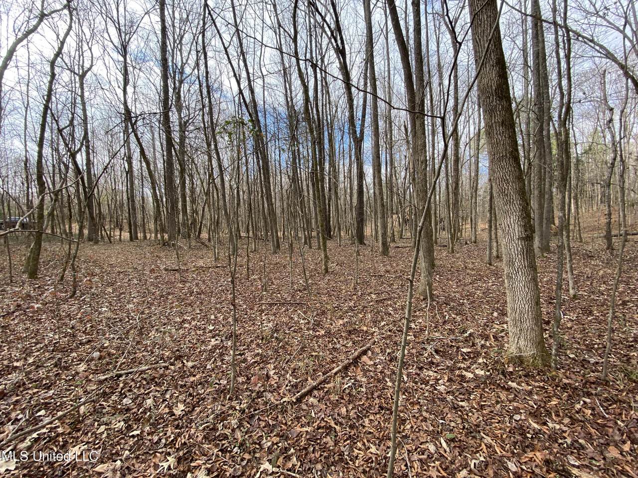 19,20 Hideaway Hill - Photo 1