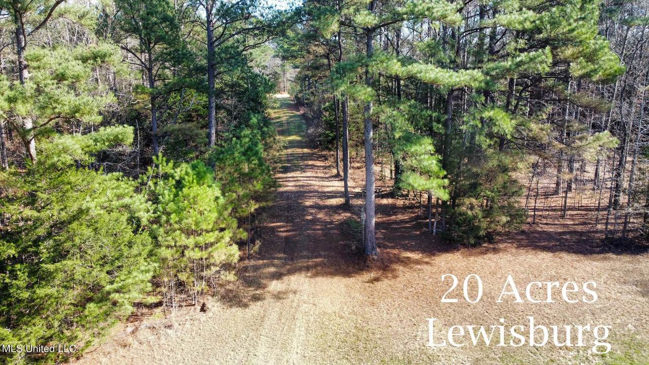 20 Watson Desoto Road - Photo 1