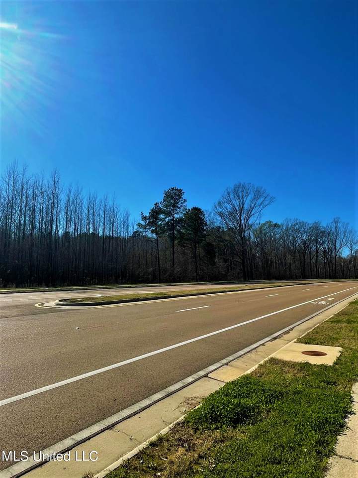 Hinds Parkway - Photo 1